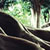Environment